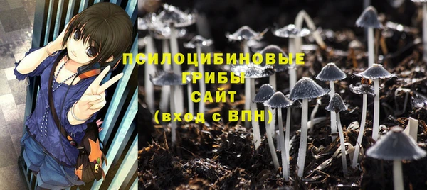 2c-b Россошь