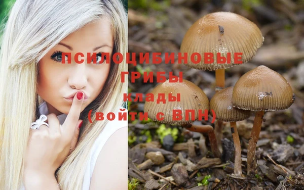 соль курить ск Беломорск